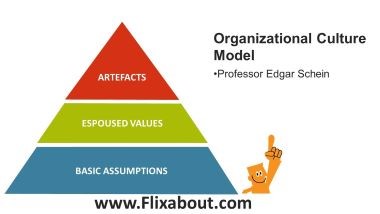 What does “ORGANIZATIONAL CULTURE” really mean?